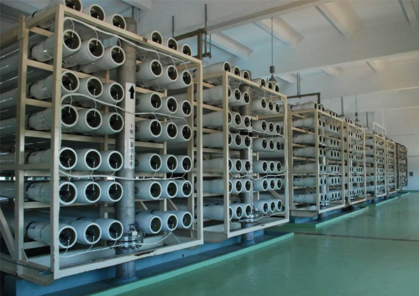 {dede:global.cfg_webname/}